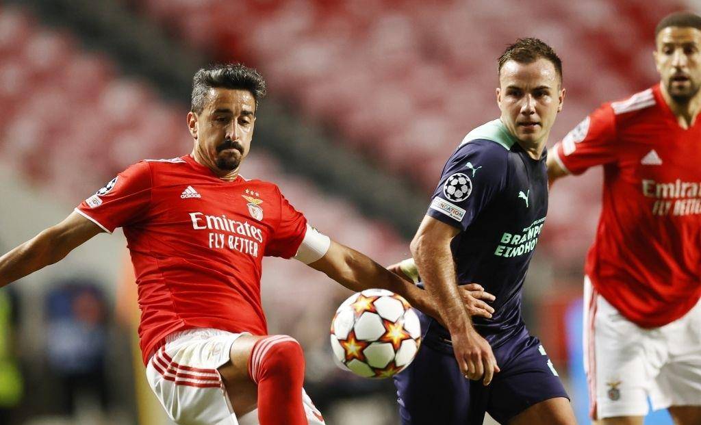 国队强大的 国队强大的