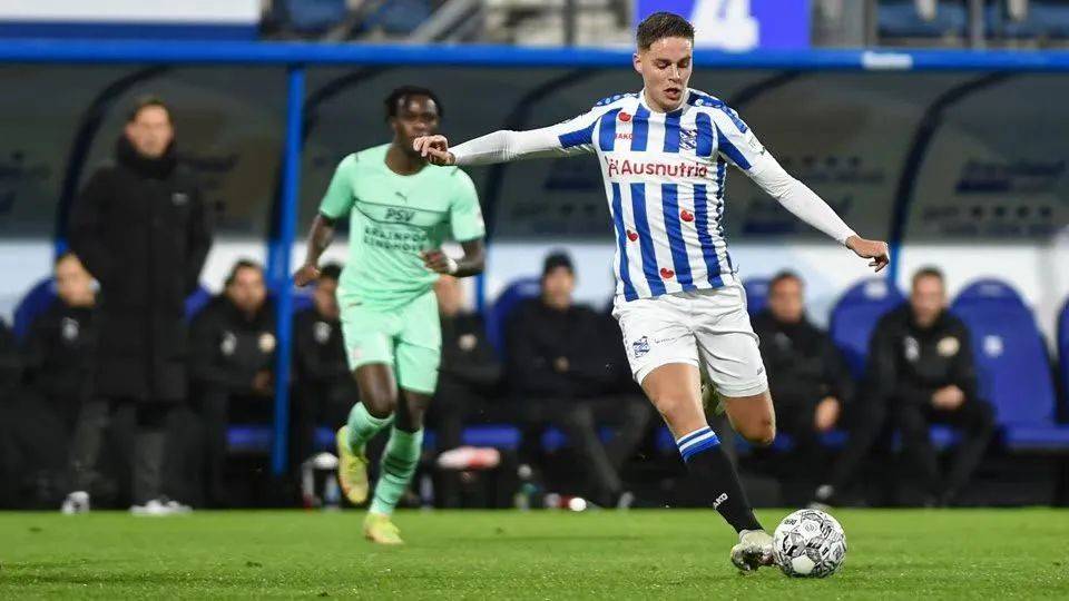 尼斯的比赛 尼斯的比赛