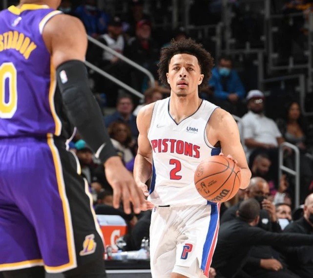 也是展示新 也是展示新